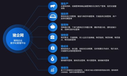 智慧养猪新篇章 企联网产品结构全景解读